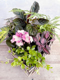 A Sweet Idea - 17" Large Wicker Heart Indoor Garden
