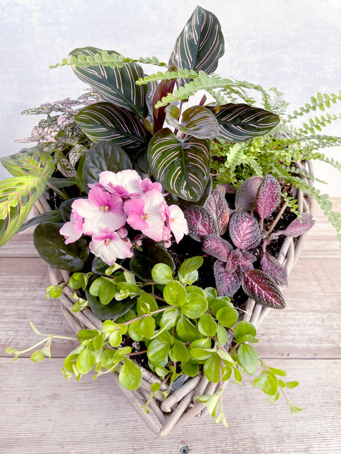 A Sweet Idea - 17" Large Wicker Heart Indoor Garden