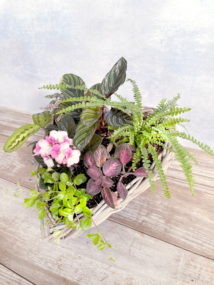 A Sweet Idea - 17" Large Wicker Heart Indoor Garden