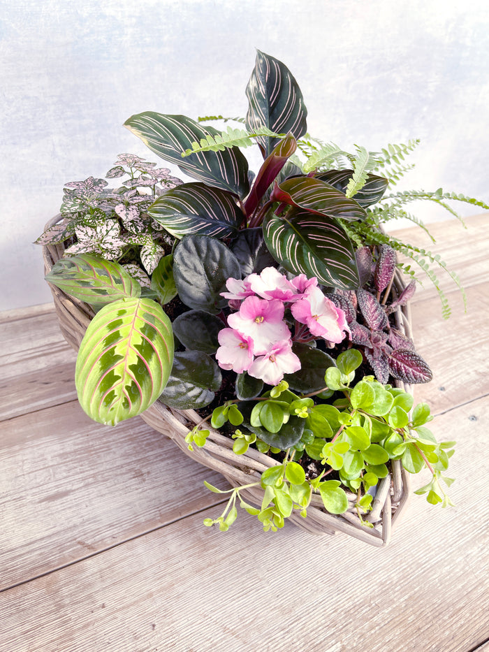 A Sweet Idea - 17" Large Wicker Heart Indoor Garden