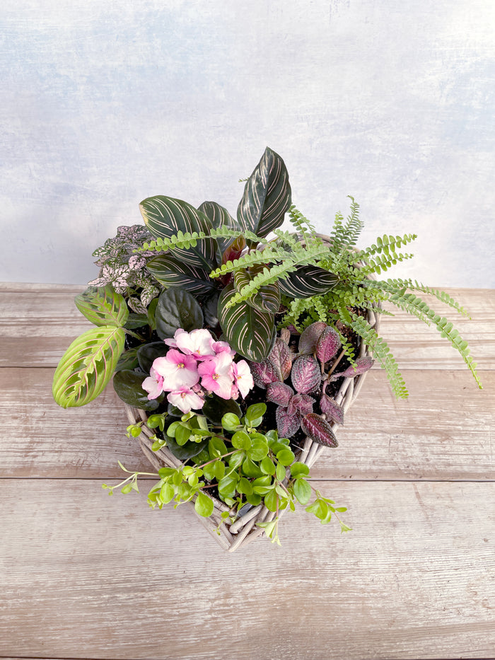 A Sweet Idea - 17" Large Wicker Heart Indoor Garden