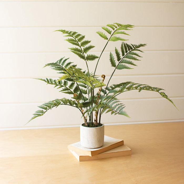 Artificial Fern in a Cement Pot