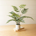 Artificial Fern in a Cement Pot