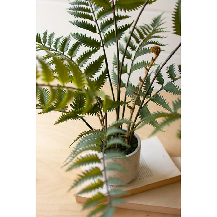 Artificial Fern in a Cement Pot