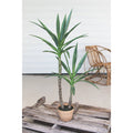 Artificial Heneken Plant with Painted Plastic Pot