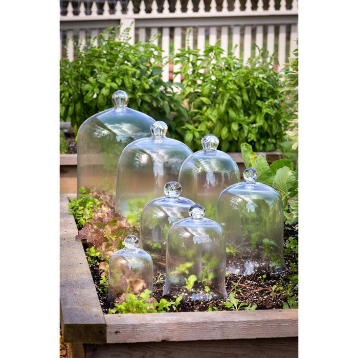 Bell Jar Petite