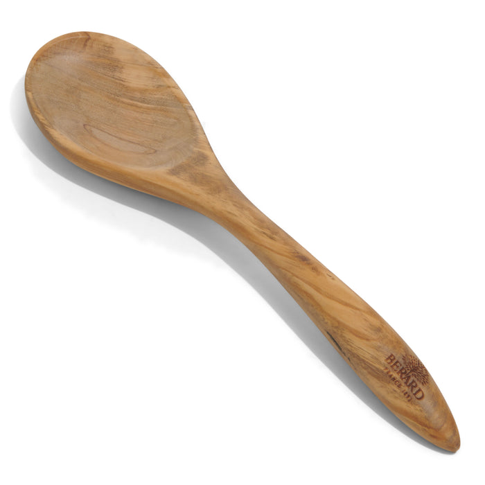 BERARD Terra Spoon