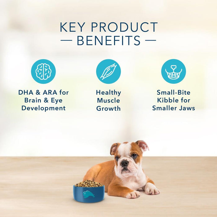 Blue Buffalo Basics Puppy Turkey & Potato Recipe Dry Dog Food