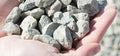 Bulk Garden + Landscaping Materials | 3/4in Clear Crush