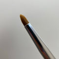 BWH - Bullet Tint Brush