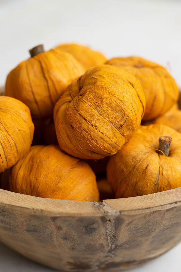 Dried Miniature Faux Pumpkins Orange Box of 12 Bags
