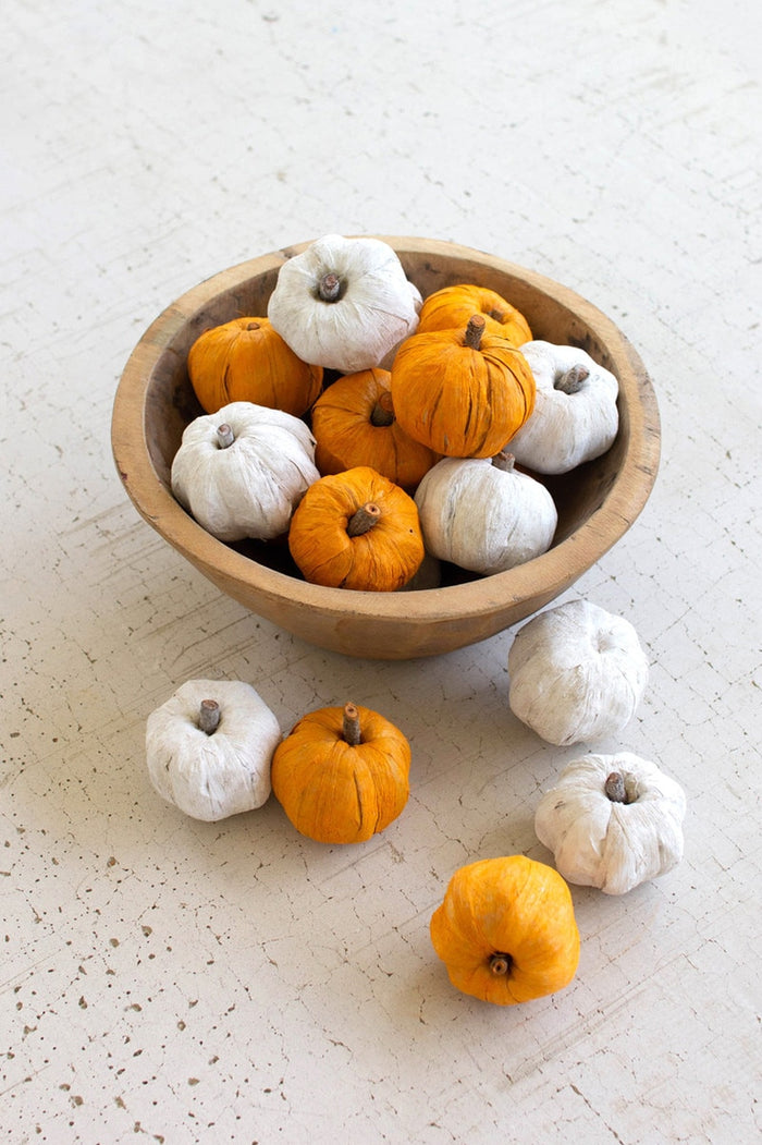 Dried Miniature Faux Pumpkins White Box of 12 Bags