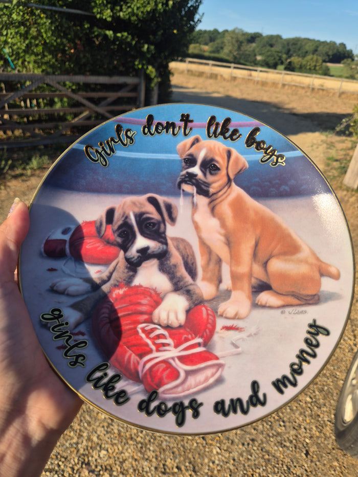Girls dont like boys girls like dogs and money Boxer plate