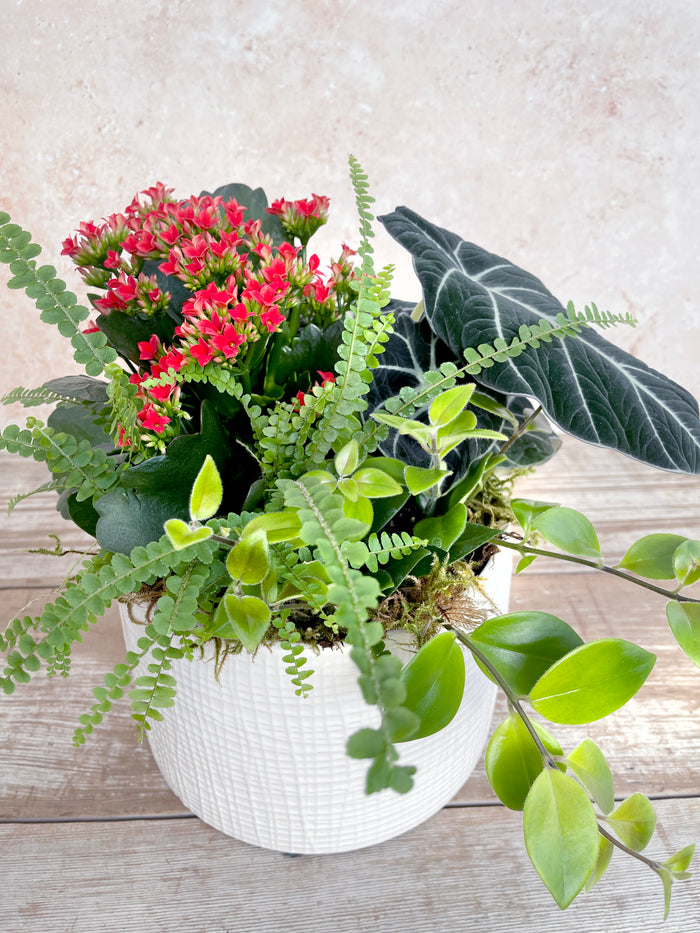 Happy Hello 9" Planter