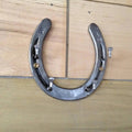 Horseshoe and Horseshoe Nail Key Holder