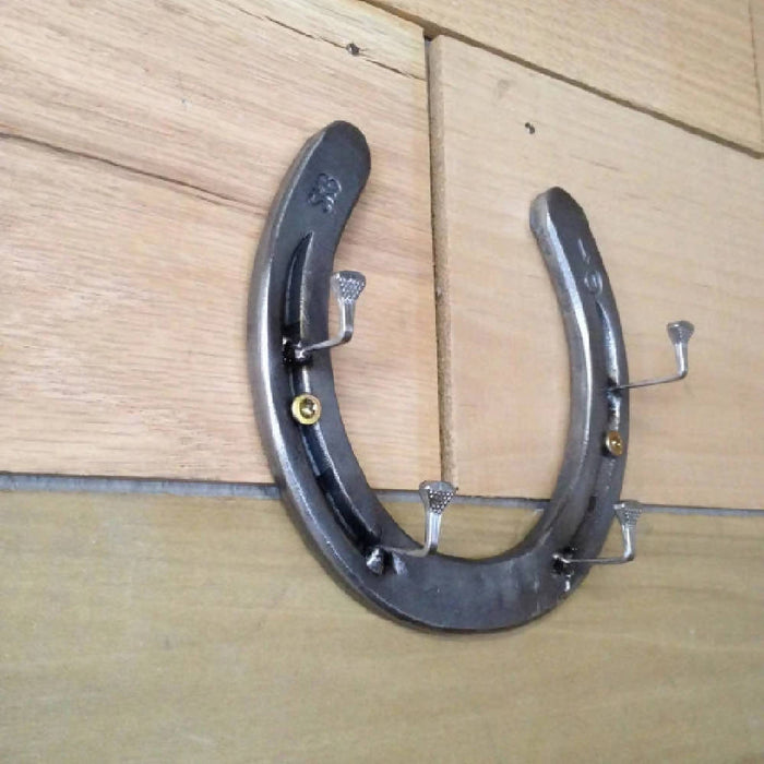 Horseshoe and Horseshoe Nail Key Holder