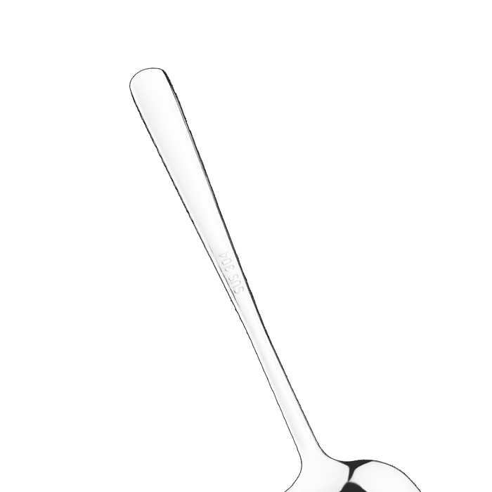 Large Serving Spoons Stainless Steel 12 Inch - Buffet Spoon Set of 6
