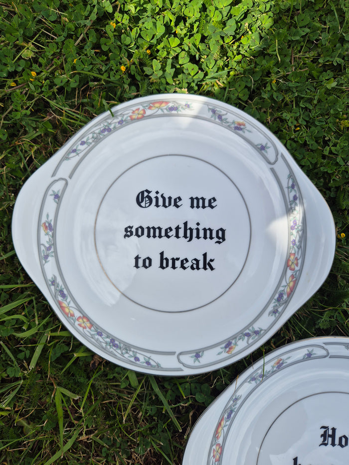 Limp Bizkit large plate pair