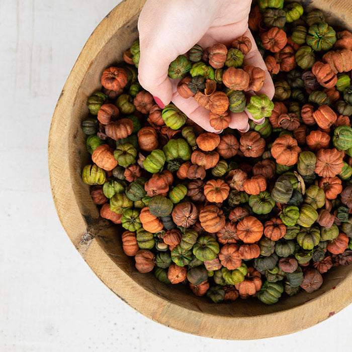 Orange and Green Putka Pods 12 Bags
