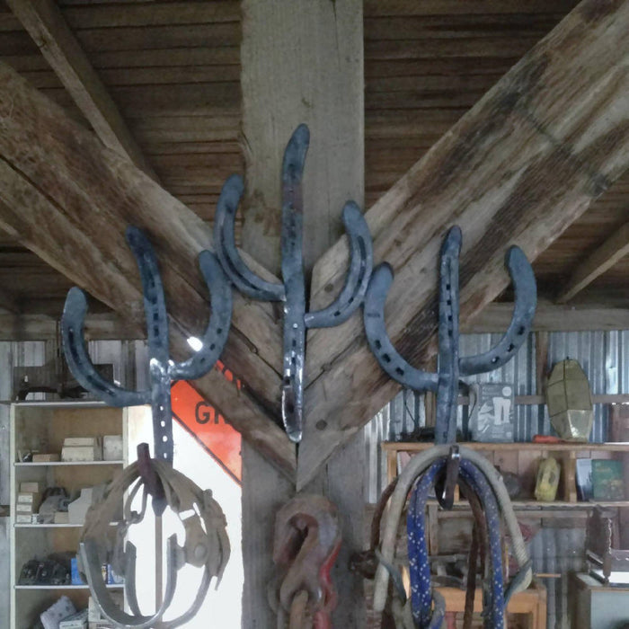 Rustic Horseshoe Cactus Hanger Hooks - Set of 3