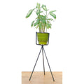 Standing Tripod Planter - Planters_Standing