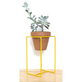 Table Planter Yellow Large - Planters_Table