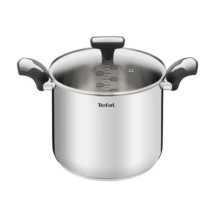 Tefal Emotion Induction Stainless Steel Stockpot 22cm/6L