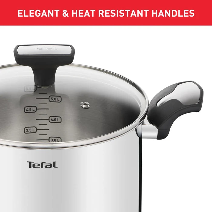 Tefal Emotion Induction Stainless Steel Stockpot 22cm/6L