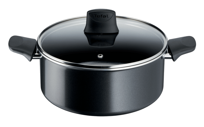 Tefal Generous Cook Non-Stick Induction Stewpot 24cm/4.5L + Lid