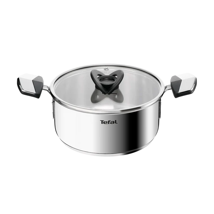 Tefal Space+ Emotion+ Induction Stainless Steel Uncoated Stewpot 20cm + Lid