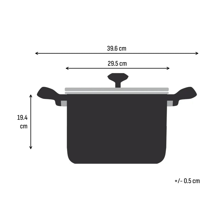 Tefal Space+ Emotion+ XL Induction Stainless Steel Big Pot 9.6L