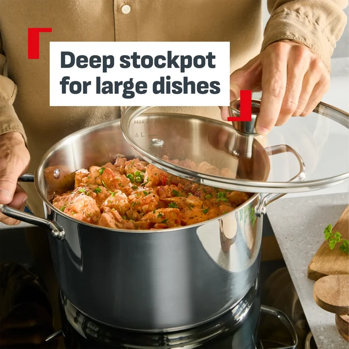 Tefal Space+ Emotion+ XL Induction Stainless Steel Big Pot 9.6L