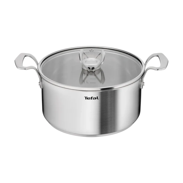 Tefal Space+ Extreme Induction Stainless Steel Stewpot 24cm + Lid