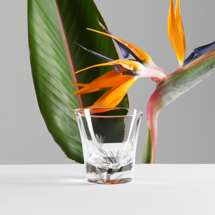 Whiskey Glass Set Of 4 - Strelitzia