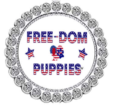 🍷💋  Winey Bitches Co Free-Dom Puppies Patriotic Tipsy Sip  Magnectic Wine Charm
