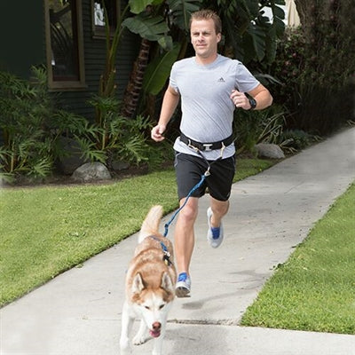 Winey Bitches Co Urban Trail® Hands Free Jogger's Belt